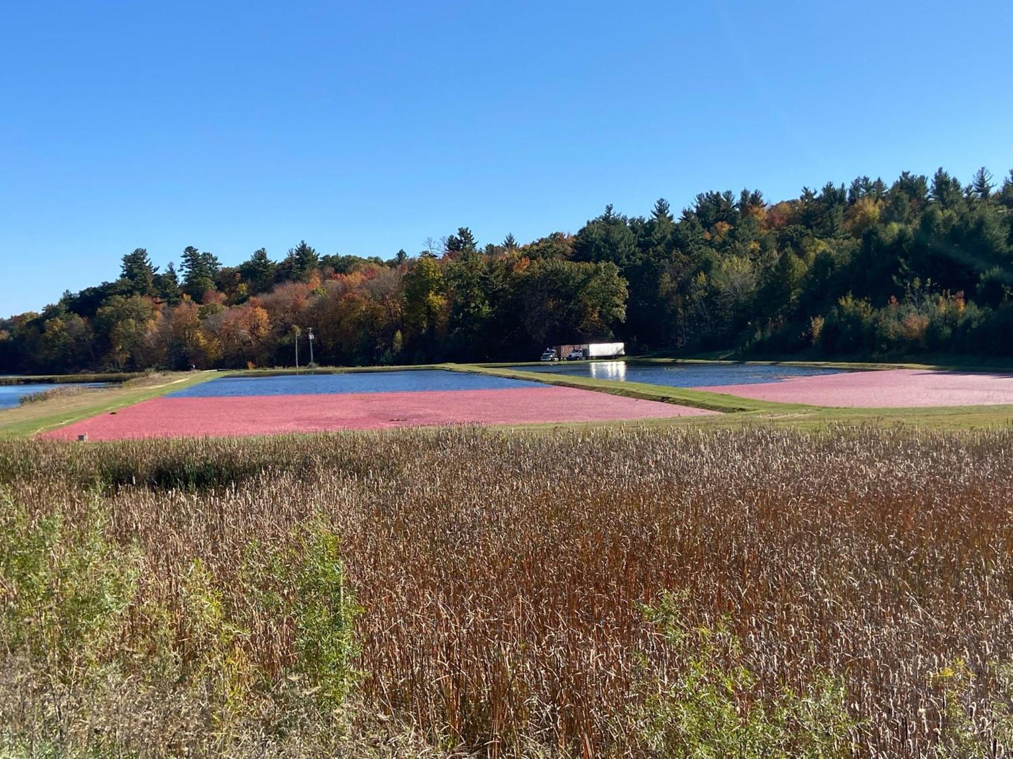 Three Bears Resort Waterpark Near Tomah Ascend Collection Warrens エクステリア 写真